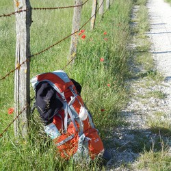 Bild Tipps und Tricks zum Pilgern in Westfalen