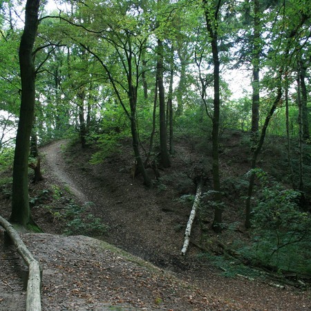 Etappe 3 - Die Wallburg Haskenau