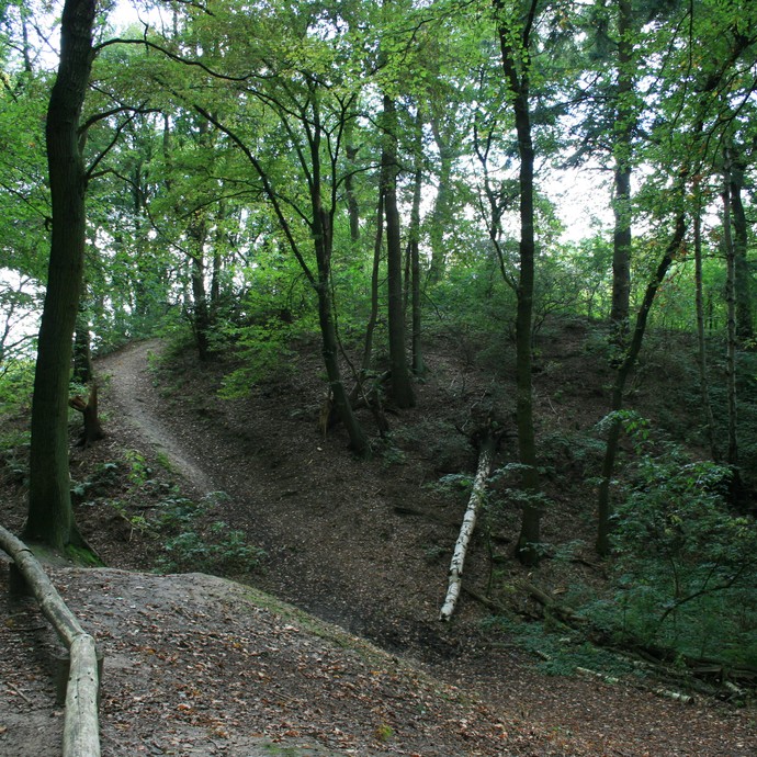Etappe 3 - Die Wallburg Haskenau (Altertumskommission). (vergrößerte Bildansicht wird geöffnet)