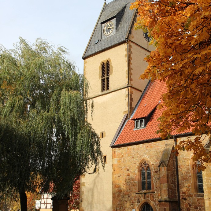 Kirche zu Steinhagen (Altertumskommission). (vergrößerte Bildansicht wird geöffnet)