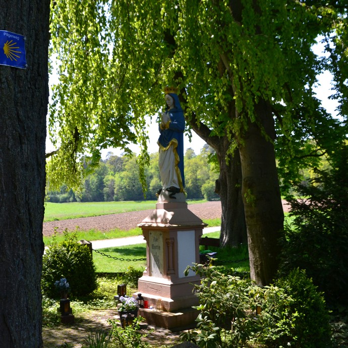 Marienstatue vor Paderborn (Steinkrüger). (vergrößerte Bildansicht wird geöffnet)