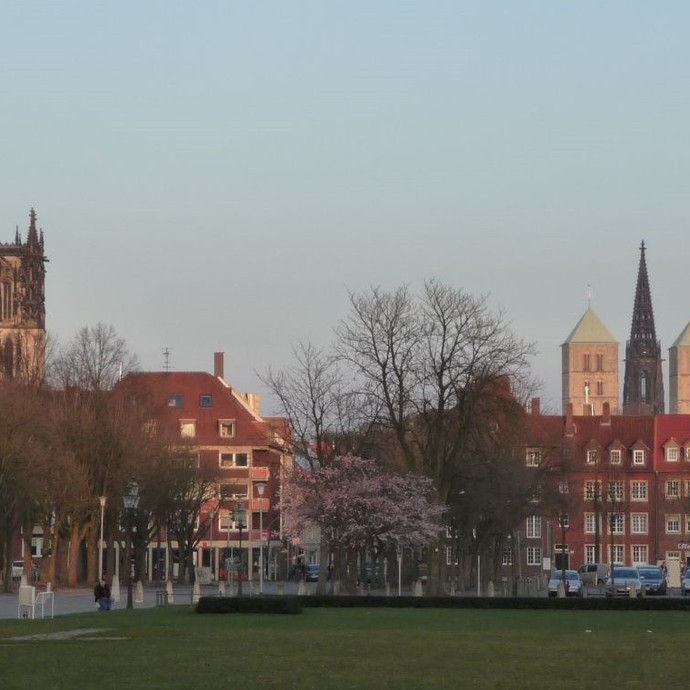 Blick auf Münsters Altstadt (Altertumskommission). (vergrößerte Bildansicht wird geöffnet)