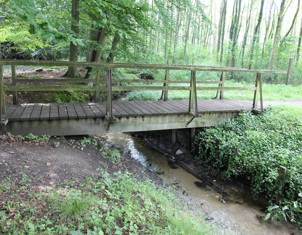 Weg 4 Etappe 9: Brücke im Tiergarten Raesfeld (Altertumskommission/Steinkrüger).