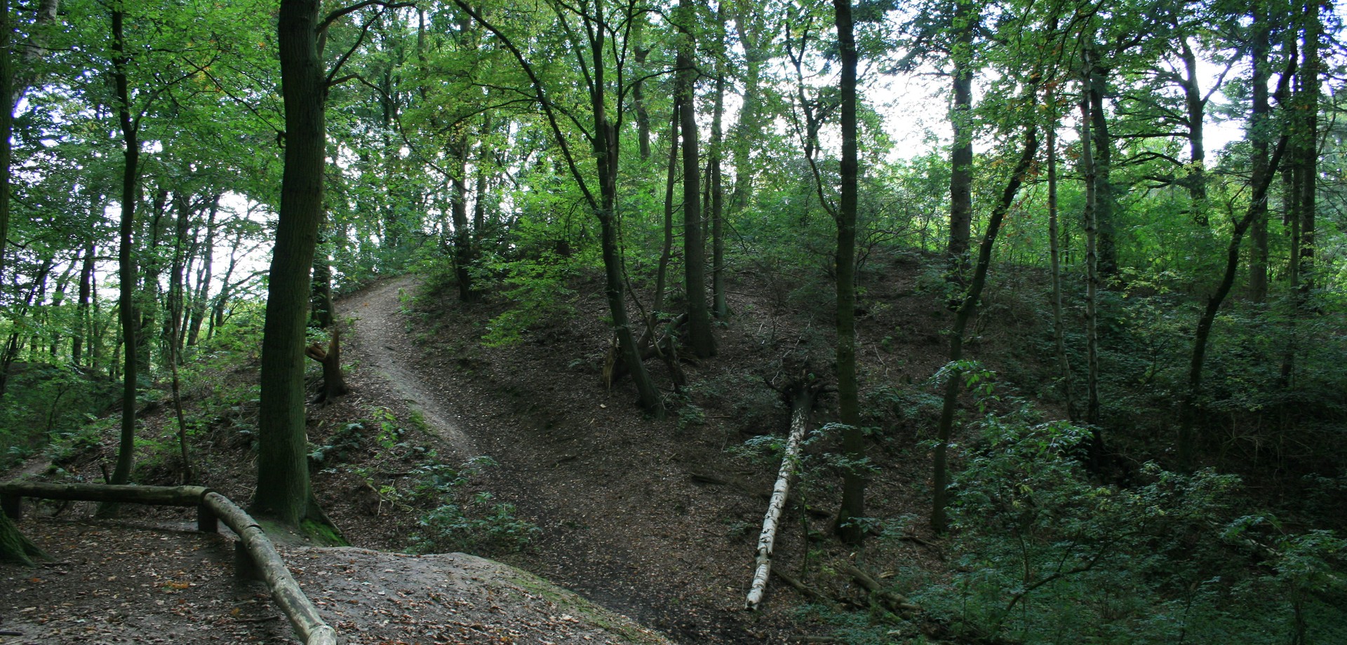 Pilgerweg 1, Etappe 3: Wallburg Haskenau (Altertumskommission).