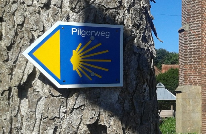 Pilgerschild am Baum (Altertumskommission).